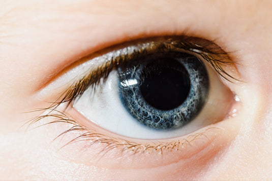 BBS-Associated Vision Loss