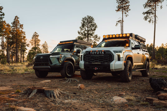 Two Overland trucks parked in a forest setting with trees and ground cover.