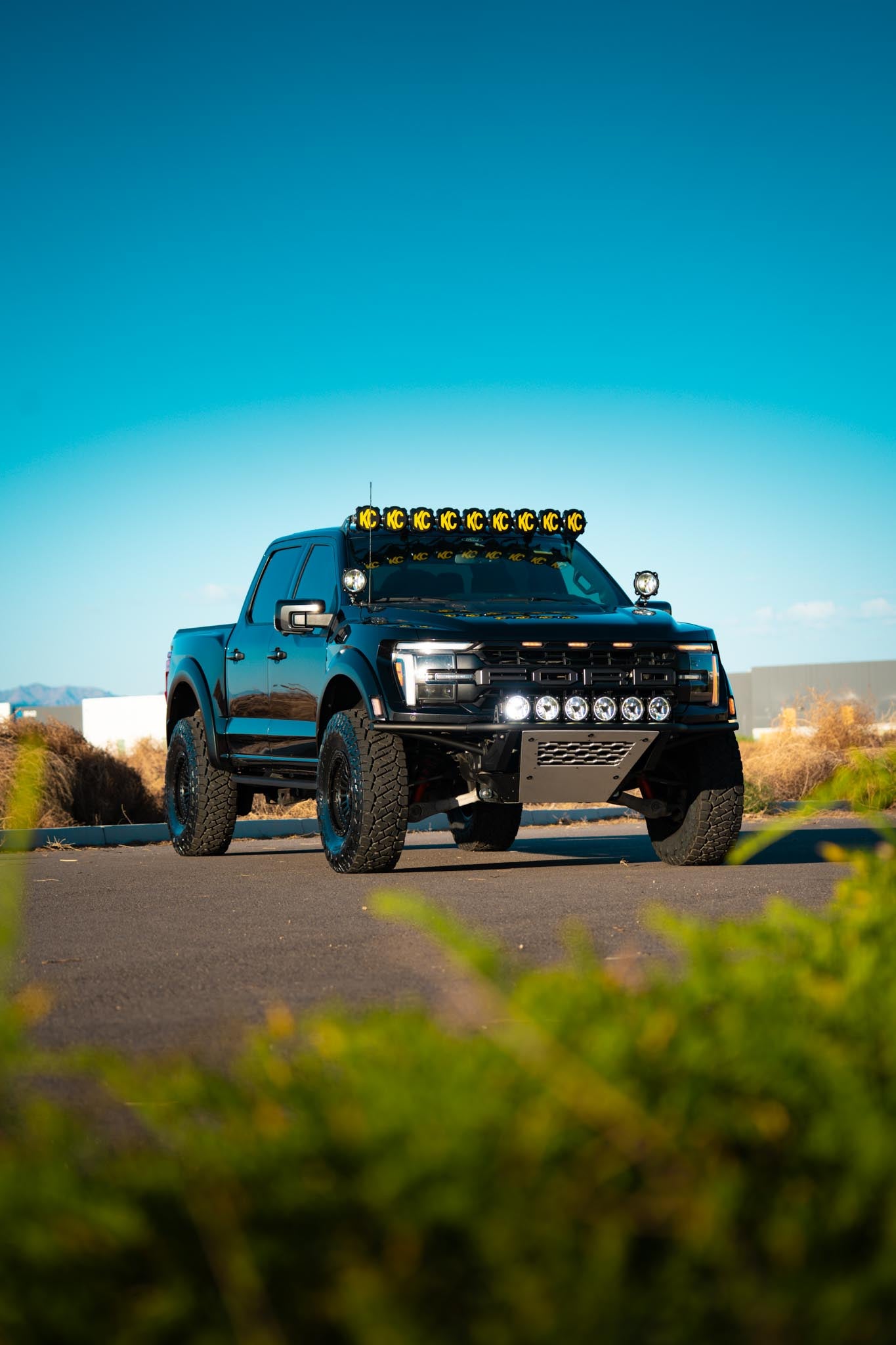 Vickie J from OR, winner of 250th Anniversary - Raptor R