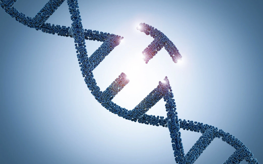 DNA helix with a small piece removed to highlight different genetic variants