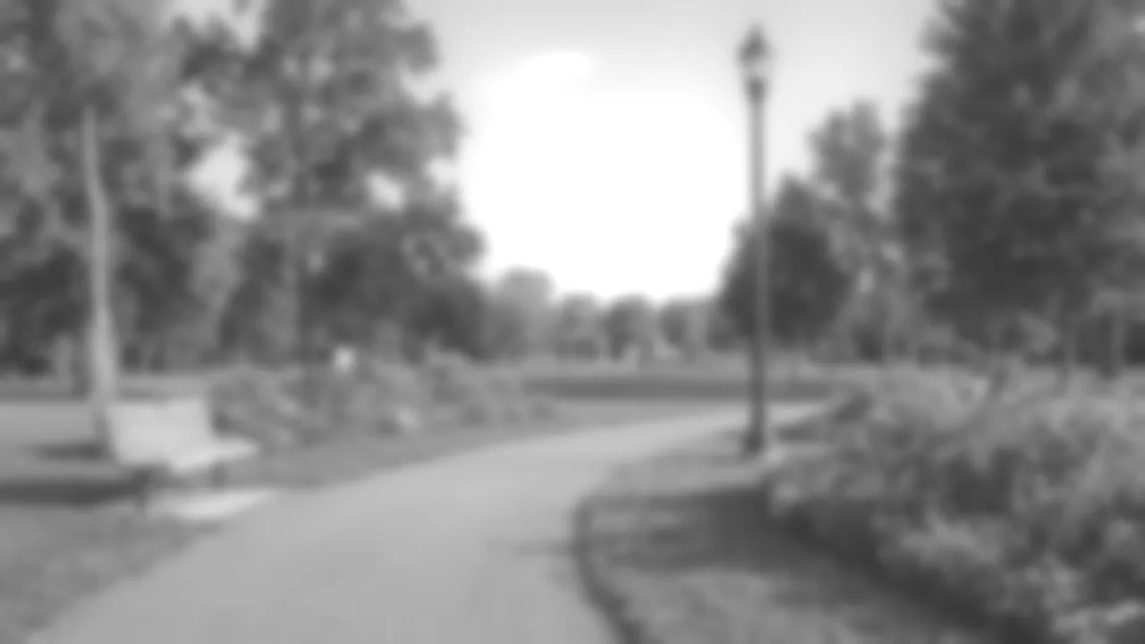 The scene in grey, washed out by glare, soft, and slightly smeared sideways.