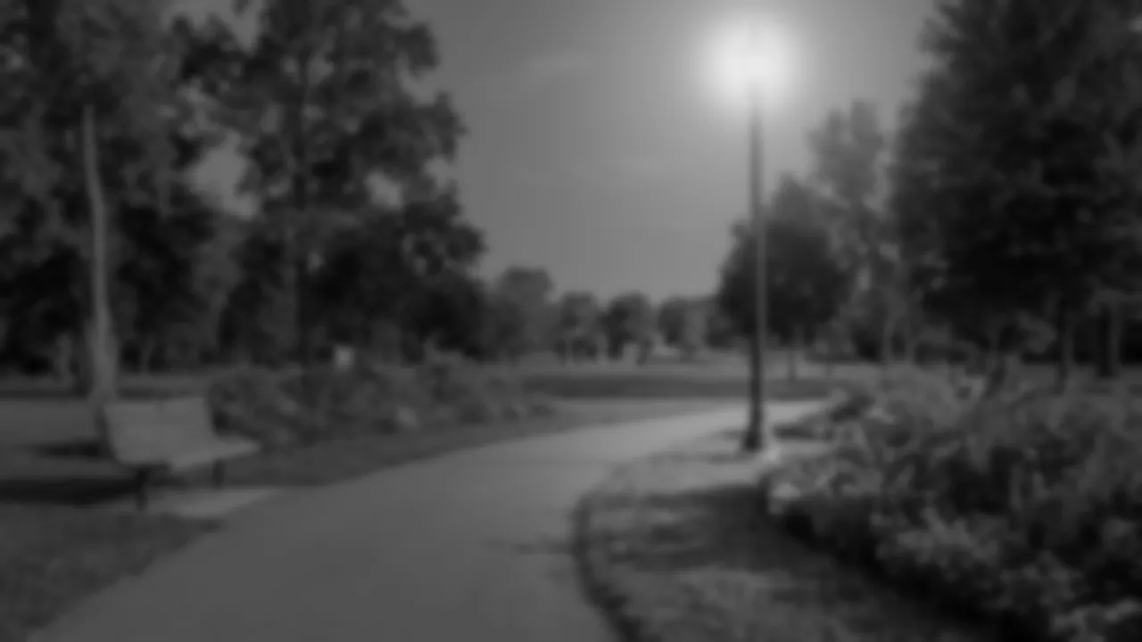 The park at dusk in grey, with more detail than by day.