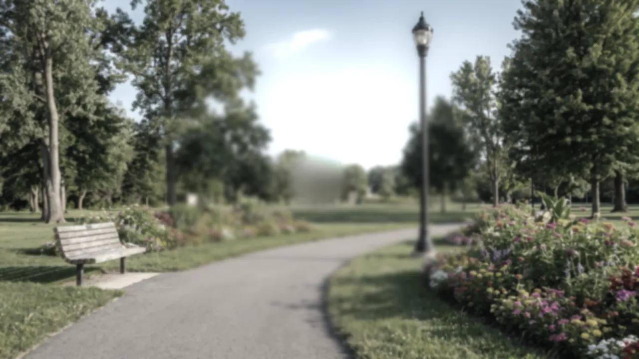 The scene with a blurred center, little color and a glare over the sky and the path.
