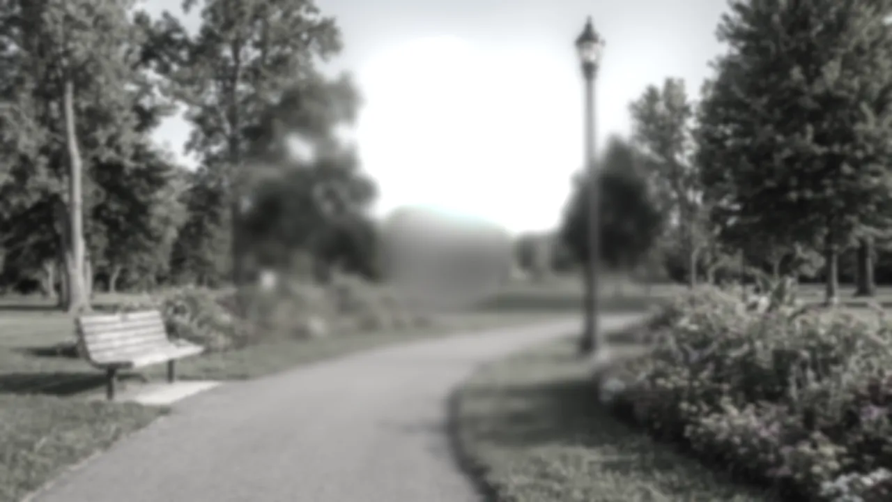 The scene with a wide central blur, almost no color and strong glare.