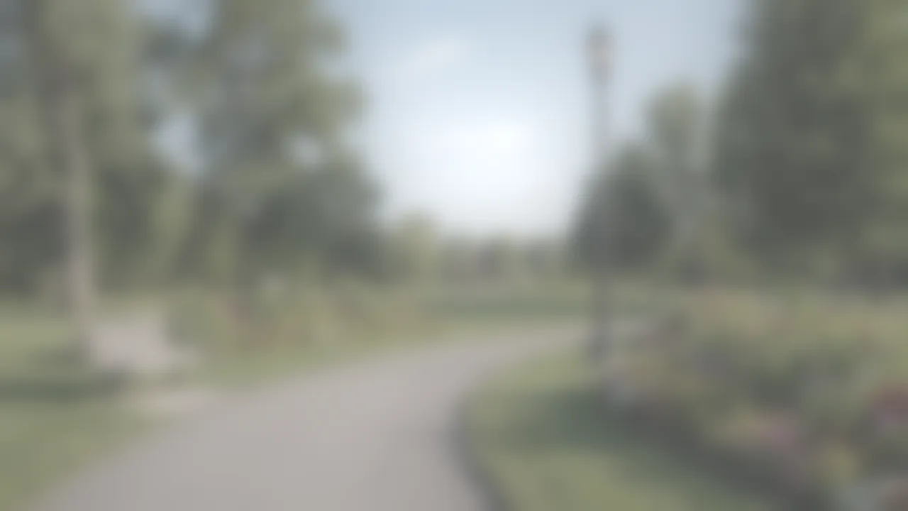 The scene as pale blurred shapes and light with no detail.