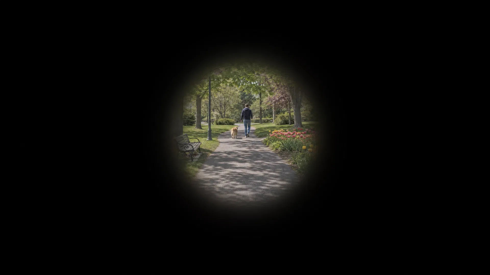 Retinitis Pigmentosa (RP) educational vision illustration
